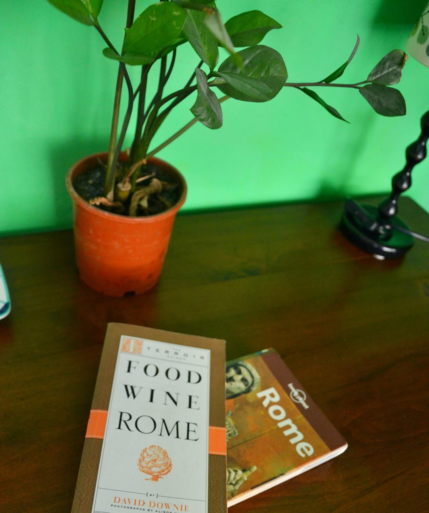 4321 B&B Stazione Trastevere روما المظهر الخارجي الصورة